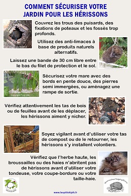 Affiche Comment securiser votre jardin pour les herissons